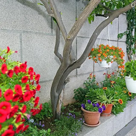 Apartamento Boni Šibenik
